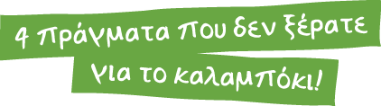 4 πράγματα που δεν ξέρατε για το καλαμπόκι